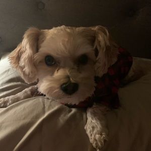 Meet your Posher, Jenn